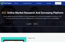 B2C Online Market Research And Surveying Platform